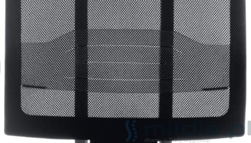 xenon net podparcie lędźwiowe