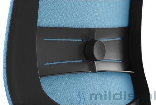 profim lightup podparcie lędźwi typ B