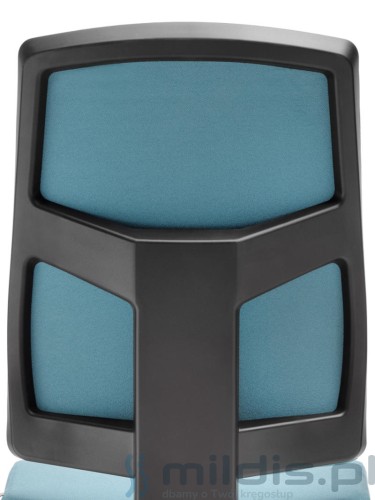 raya 23 tapicerowany tył oparcia