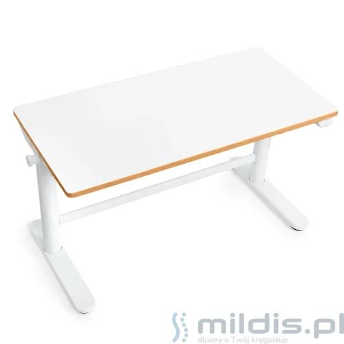 białe biurko regulowane elektrycznie 100x50 cm