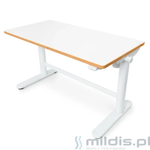 biurko regulowane elektrycznie białe