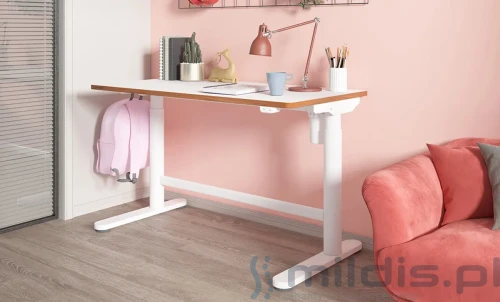 biurko spacetronik białe 100x50 cm aranżacja