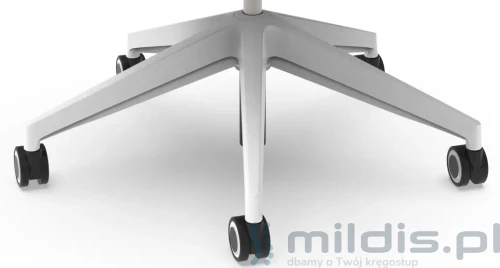 bgroup podstawa wysoka biała