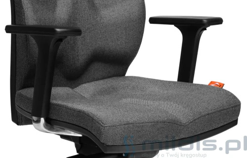 kulik system kolor t-19