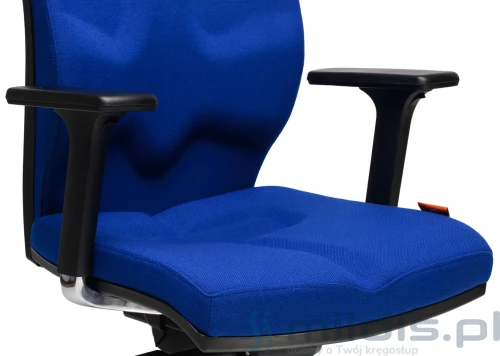 kulik system kolor t-21