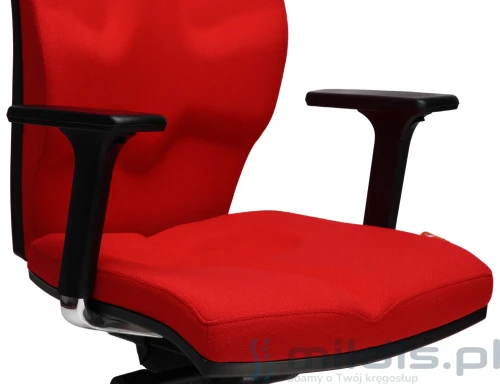 kulik system kolor t-22