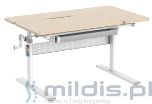 Biurko młodzieżowe nowoczesne Spacetronik XD SPE-X102WL