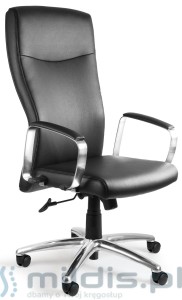 Fotel Unique Adella - skóra naturalna