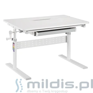 Małe biurko dla dziecka Spacetronik XD SPE-X102W