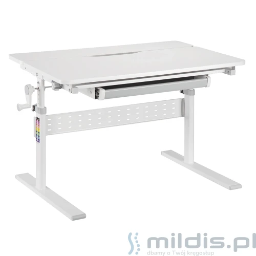 dziecięce biurko regulowane spe-x102w