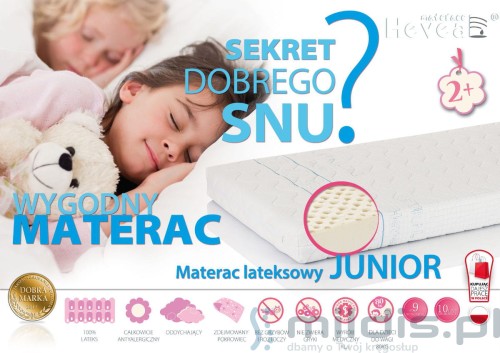banner junior