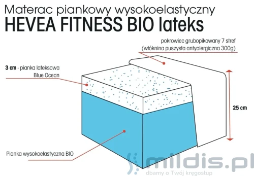 Hevea fitness lateks struktura