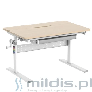 Biurko dla dzieci Spacetronik XD SPE-X102WL - 90x60 cm