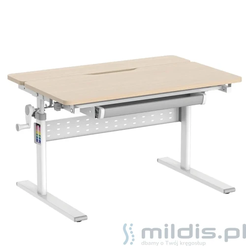 biurko regulowane dla dzieci spe x102wl 90x60 cm