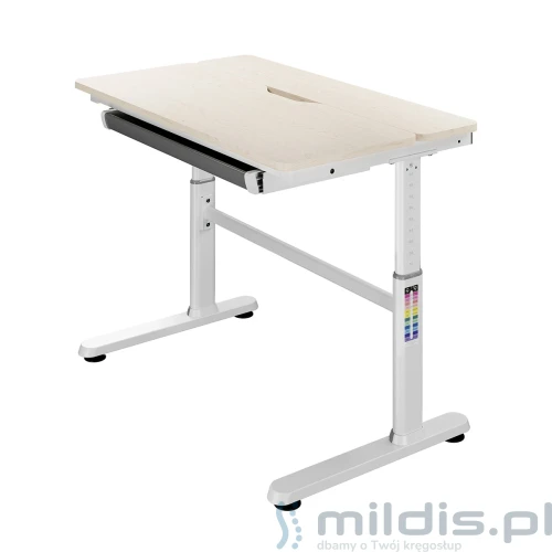 biurko dla dziecka Spacetronic SPE-X104WL