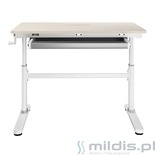 biurko młodzieżowe Spacetronic SPE-X104WL