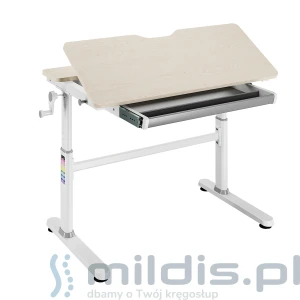 Biurko regulowane Spacetronik XD SPE-X104WL