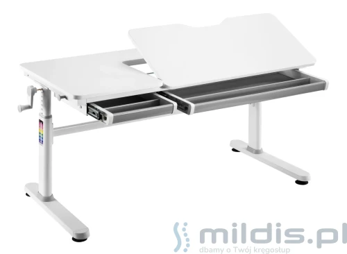 biurko regulowane Spacetronik SPE-X104WW