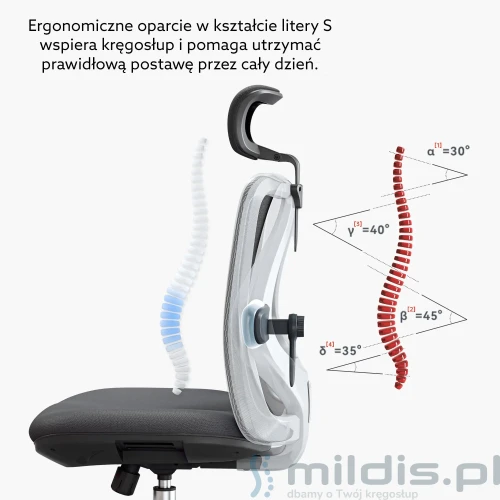 fotel Angel Europa ergonomiczny profil oparcia