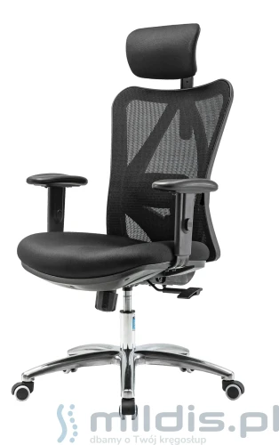 fotel Europa Angel