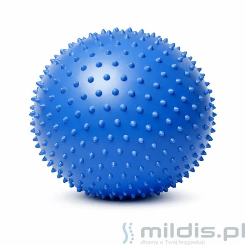 pilka-rehabilitacyjna-masujaca-55-cm.webp