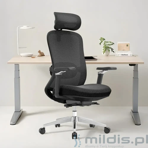 fotel ergonomiczny Angel fizjo aranżacja