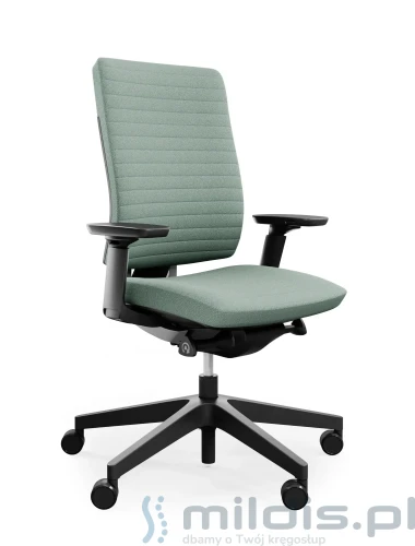 fotel-ergonomiczny-xenon-10-profim.webp