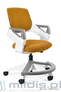 Krzesło ergonomiczne dla dziecka Rookee