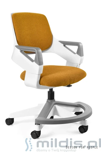 Krzesło ergonomiczne dla dziecka Rookee
