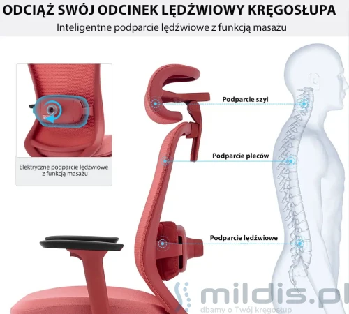 fotel-obrotowy-masujący plecy.webp