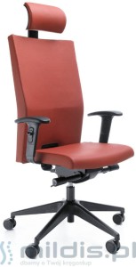 Fotel Playa 12SL - Profim