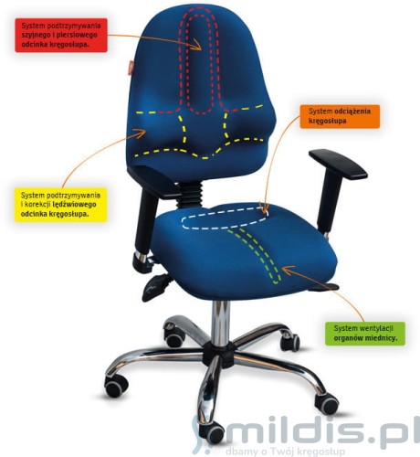 system wyprofilowań kulik system