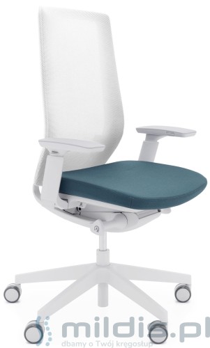 accispro jasnoszare biała siatka