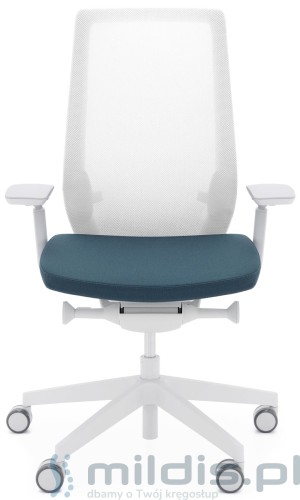 fotel accispro jasnoszary