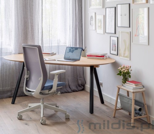 krzesło do biurka accispro