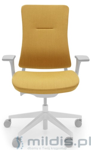 violle szary żółty