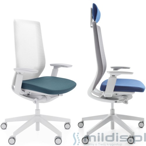 krzesła accis pro profim