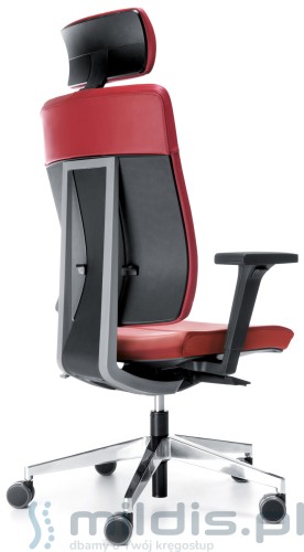 fotele xenon