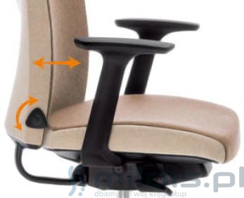 profim motto schukra