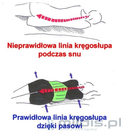 pas niski schemat.jpg