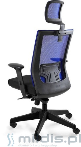 nez niebieski tył.jpg