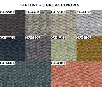 wzornik capture Profim