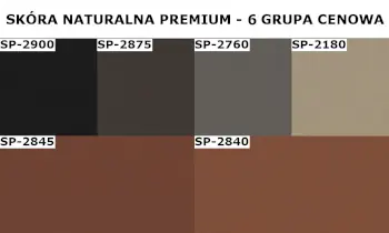 wzornik skóra premium Profim