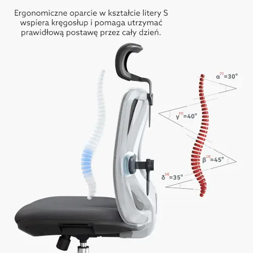 fotel Angel Europa ergonomiczny profil oparcia